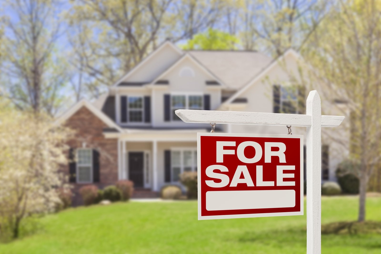graphic of hand holding miniature house